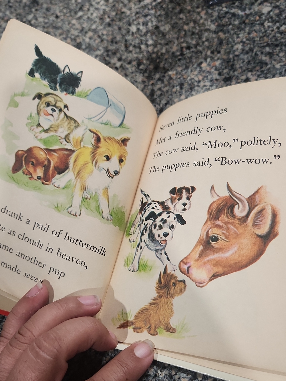 Vintage Count the Puppies  Children's Book - Picture 4 of 6